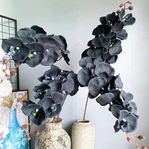 105cm Large Black Butterfly Orchid Phalaenopsis-orchids-My Online Wedding Store