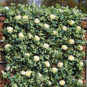 1.8M Artificial Eucalyptus Rose Garland Wedding Backdrop Wall Vine-Garland-My Online Wedding Store