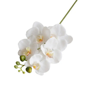1pcs 5 Heads Artificial Flower Orchid Latex Silicon Real Touch-orchids-My Online Wedding Store