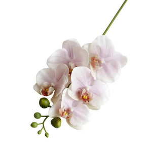 1pcs 5 Heads Artificial Flower Orchid Latex Silicon Real Touch-orchids-My Online Wedding Store