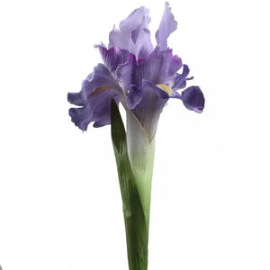 3Pcs Iris Artificial Silk Flowers Plant Branch Bouquet Real Touch-My Online Wedding Store