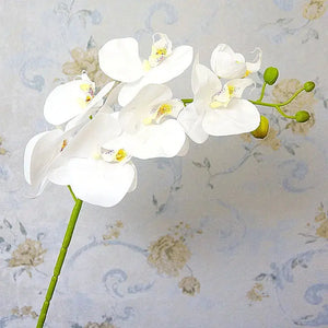 7 Heads Real touch white orchid Latex-Orchids-My Online Wedding Store