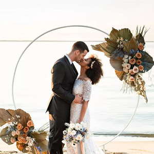 Metal Wedding Circle Arch Backdrop Stands