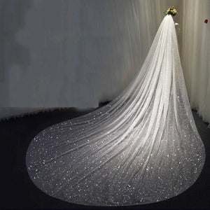 Sparkly White Champagne Long Cathedral Glitter Wedding Veil With Comb 1 Tier 350cm-Bridal Accessories-My Online Wedding Store