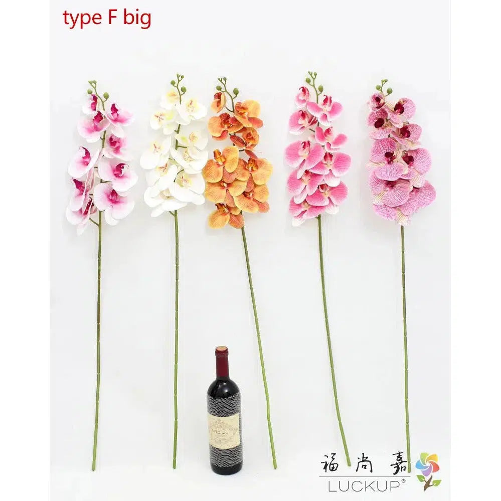 1 Stem Silk Flower Artificial Moth Orchid Butterfly Orchid  