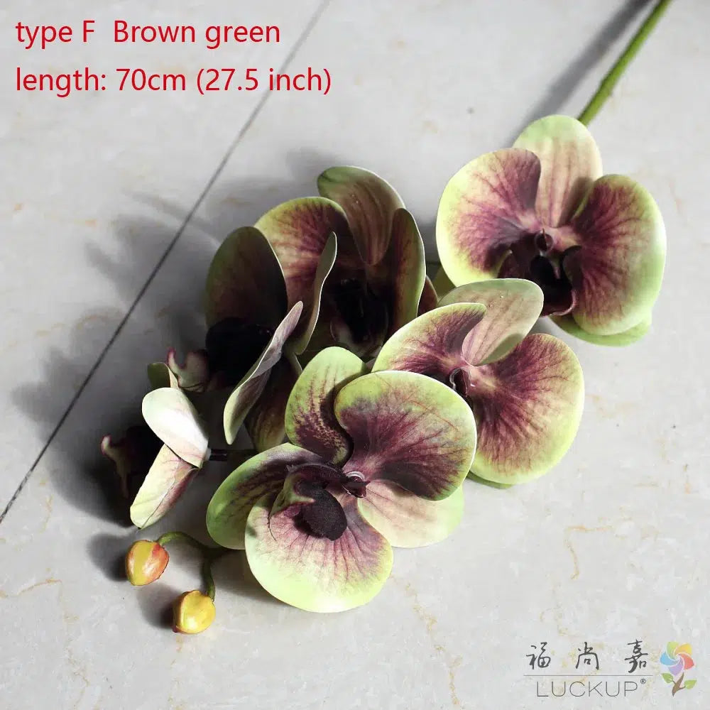 1 Stem Silk Flower Artificial Moth Orchid Butterfly Orchid-Orchids