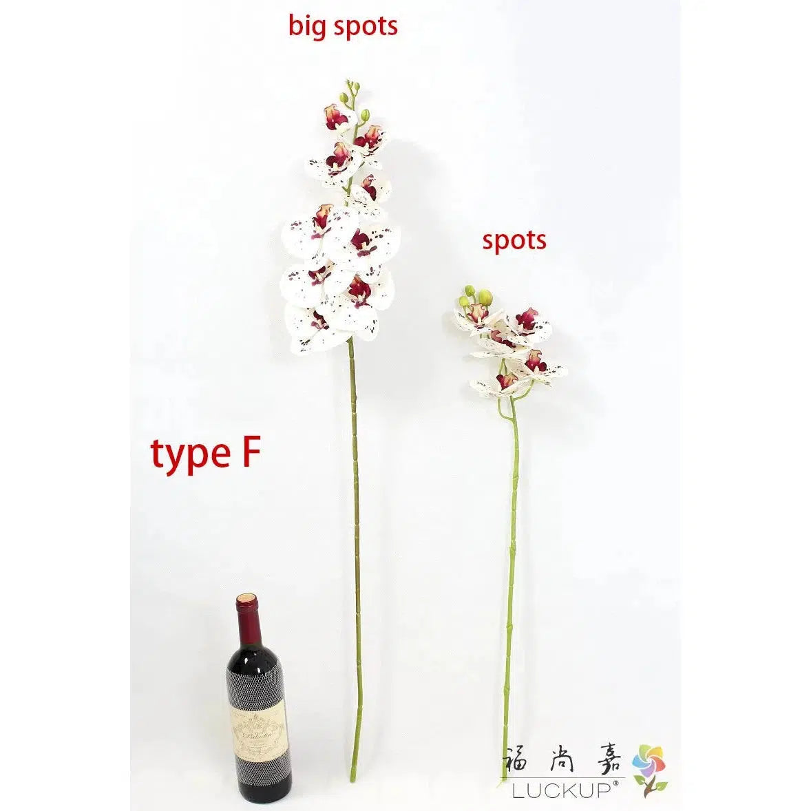 1 Stem Silk Flower Artificial Moth Orchid Butterfly Orchid  