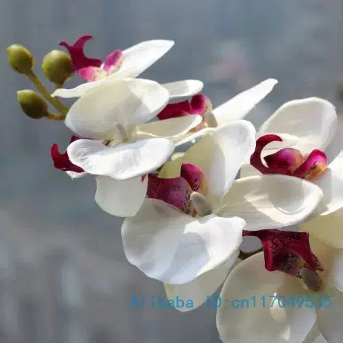 1 Stem Silk Flower Artificial Moth Orchid Butterfly Orchid  