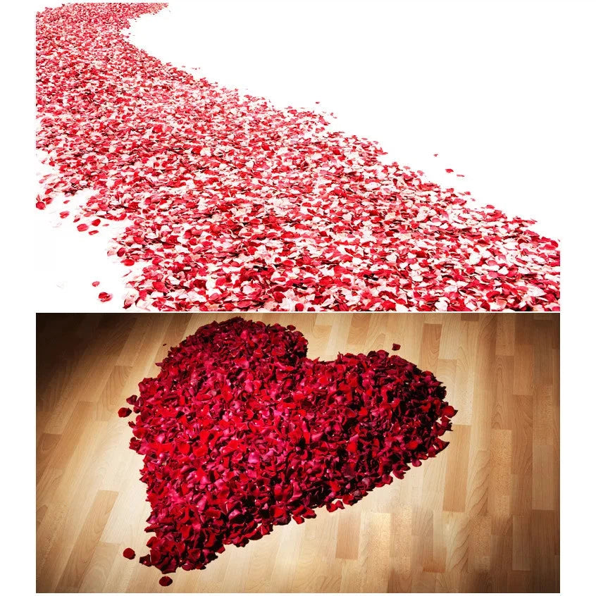 5000 piece/lot 5*5cm Romantic silk Rose petals  