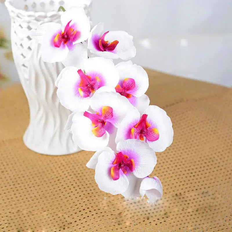 Butterfly Orchid Flowers Moth Orchids Flowers Home Decor  