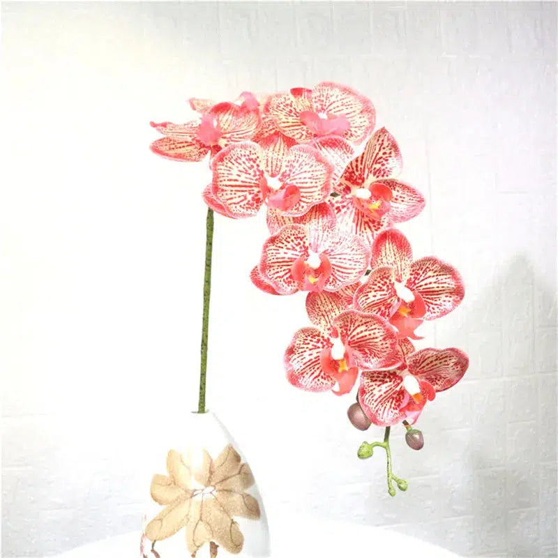 Butterfly Orchid Flowers Moth Orchids Flowers Home Decor  