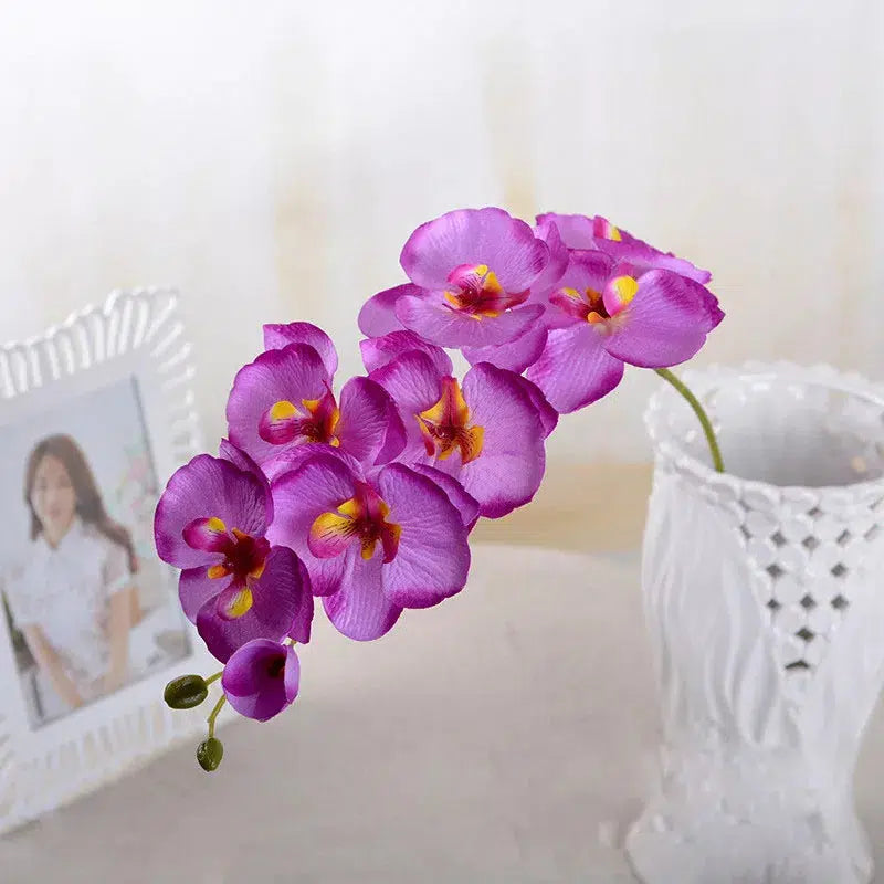 Butterfly Orchid Flowers Moth Orchids Flowers Home Decor  