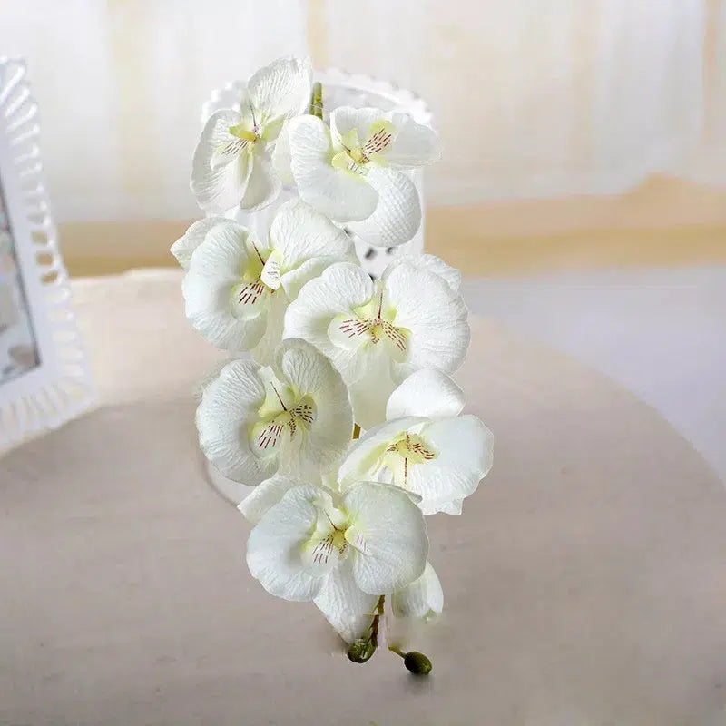 Butterfly Orchid Flowers Moth Orchids Flowers Home Decor  