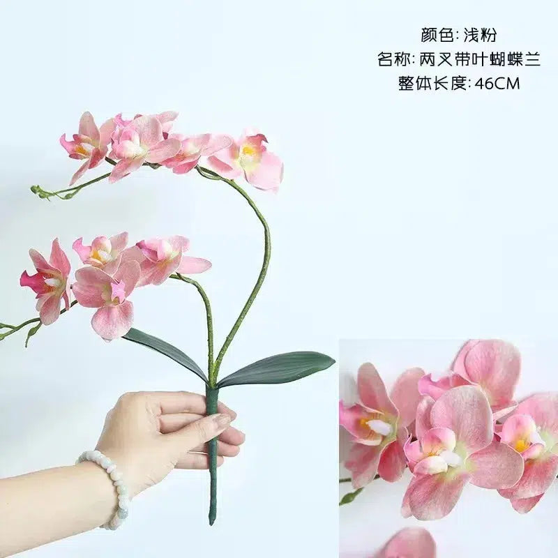 46cm Silk Orchid with Leaves  