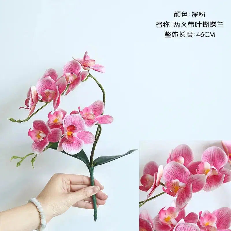 46cm Silk Orchid with Leaves  